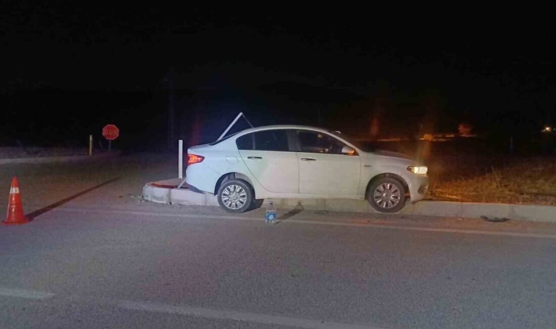 Çorum'un Alaca ilçesinde meydana gelen trafik kazasında, 66 ABK 306