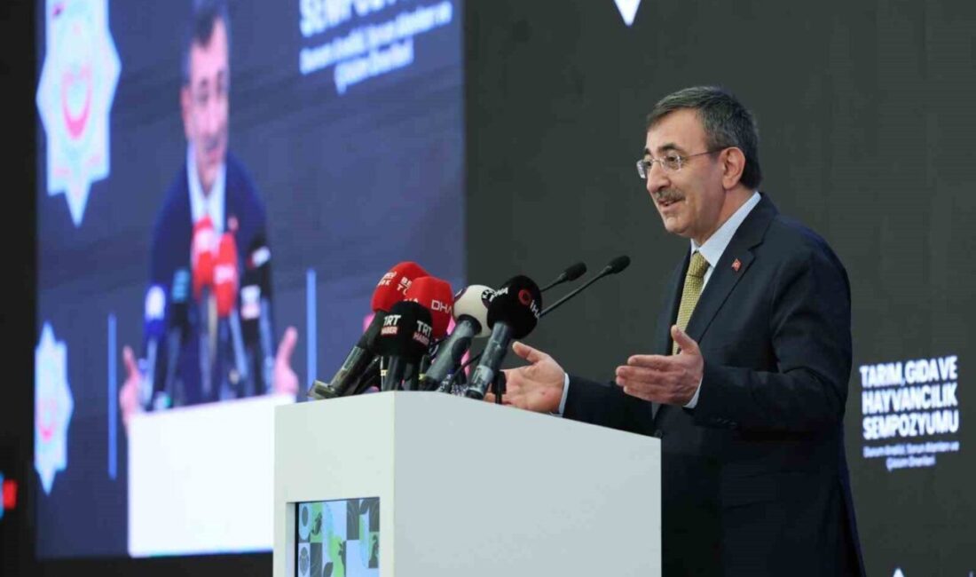 Cumhurbaşkanı Yardımcısı Cevdet Yılmaz, 2026 bütçesinin tarım ve su yönetimi