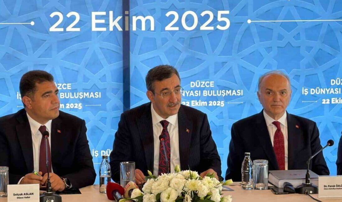 Cumhurbaşkanı Yardımcısı Cevdet Yılmaz, Düzce'de yaptığı açıklamada, kur korumalı mevduat