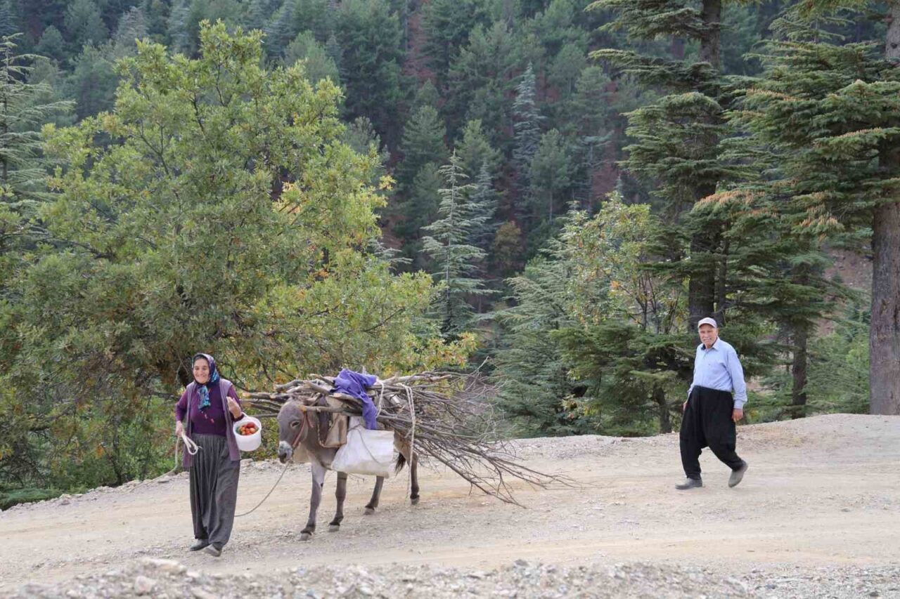 Adana'nın Feke ilçesindeki Çandırlar Bekirhacılı köyünde yaşayan 77 yaşındaki Hacı