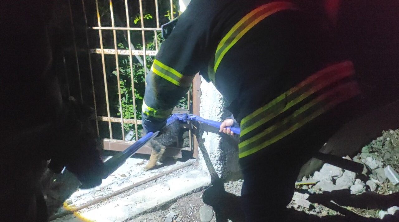 Hatay’ın Arsuz ilçesinde demir korkuluklara sıkışan yavru köpek, itfaiye ekiplerinin başarılı çalışmasıyla kurtarıldı.