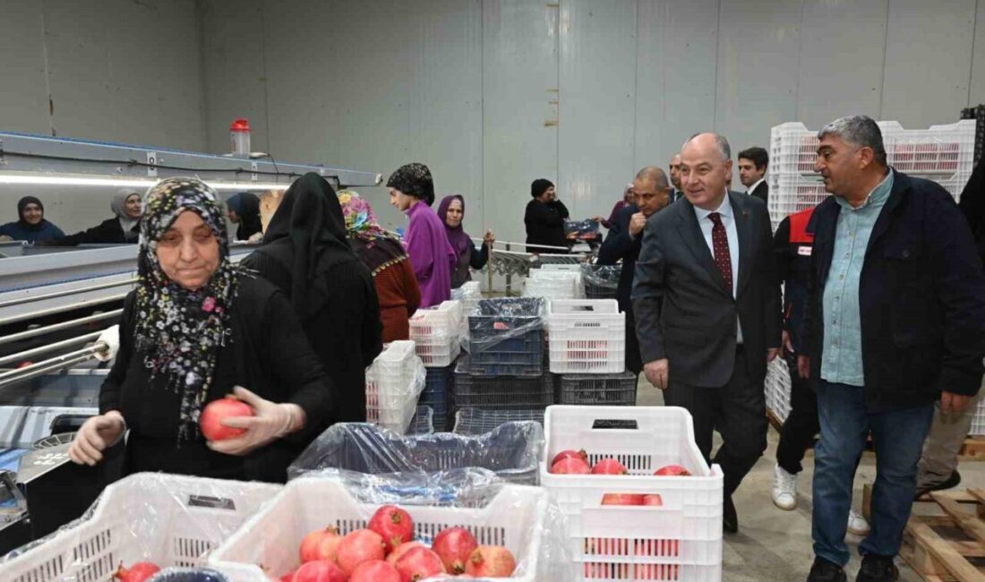 Denizli, 2025 yılı için ilk nar ihracatını gerçekleştirerek, 60 bin