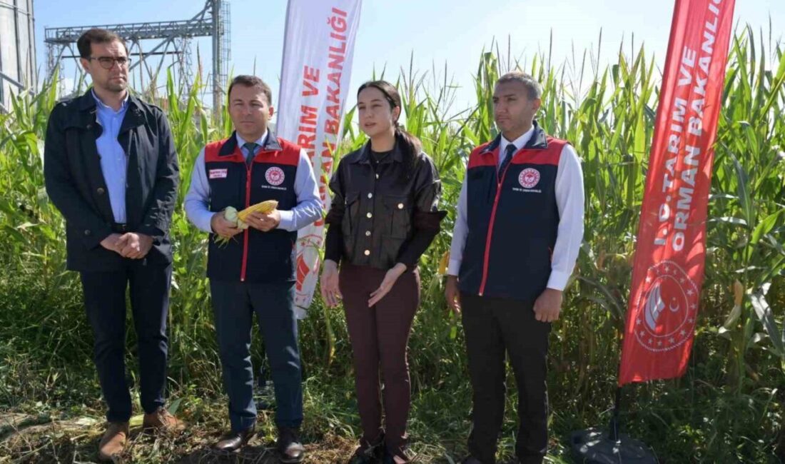 Denizli'de Tarım ve Orman Bakanlığı'nın projesi kapsamında organik toprak düzenleyici