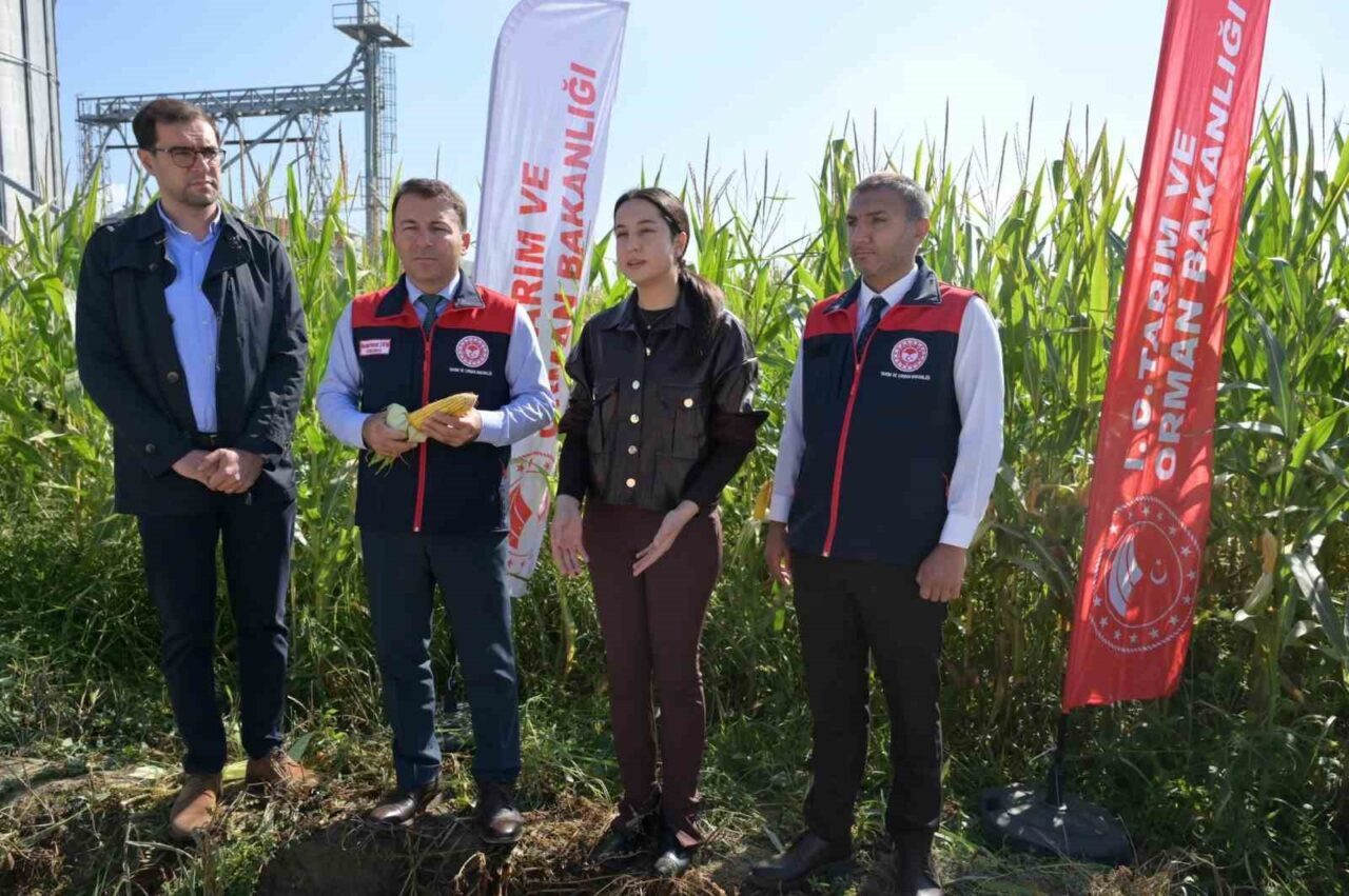 Denizli'de Tarım ve Orman Bakanlığı'nın projesi kapsamında organik toprak düzenleyici