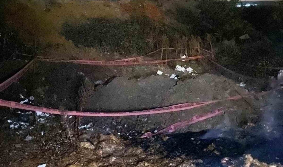 Bilecik'in Pazaryeri ilçesindeki Dereköy köyü yakınındaki ormanlık alanda çıkan yangın,