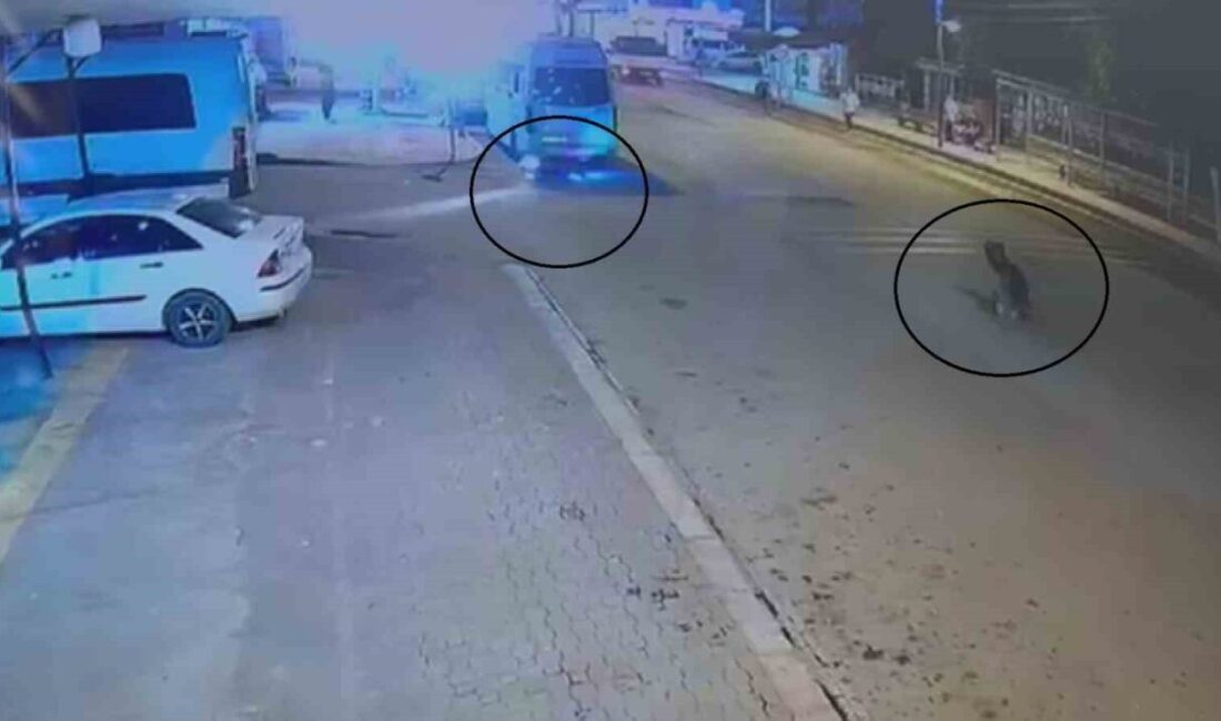 Hatay'ın Dörtyol ilçesinde, kontrolü kaybeden motosiklet devrilerek park halindeki minibüsün