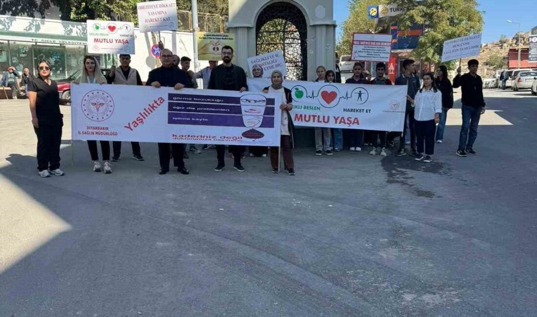 Diyarbakır'ın Dicle İlçe Sağlık Müdürlüğü, Dünya Yaşlılar ve Dünya Yürüyüş