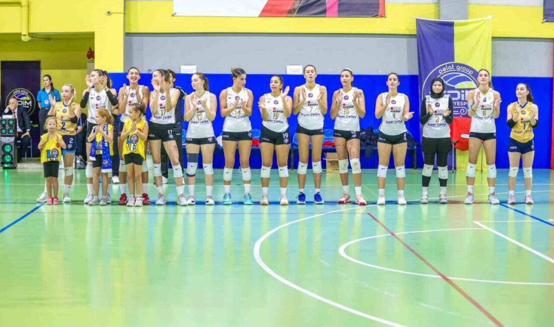 Didim Belediyespor Kadın Voleybol Takımı, Türkiye Voleybol Federasyonu Kadınlar 2.