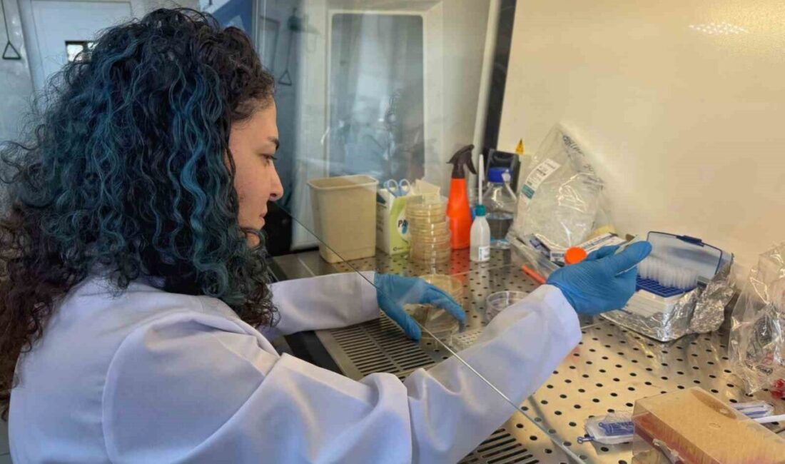 Dr. Öğr. Üyesi Elif Aydın tarafından yürütülen ve TÜSEB tarafından