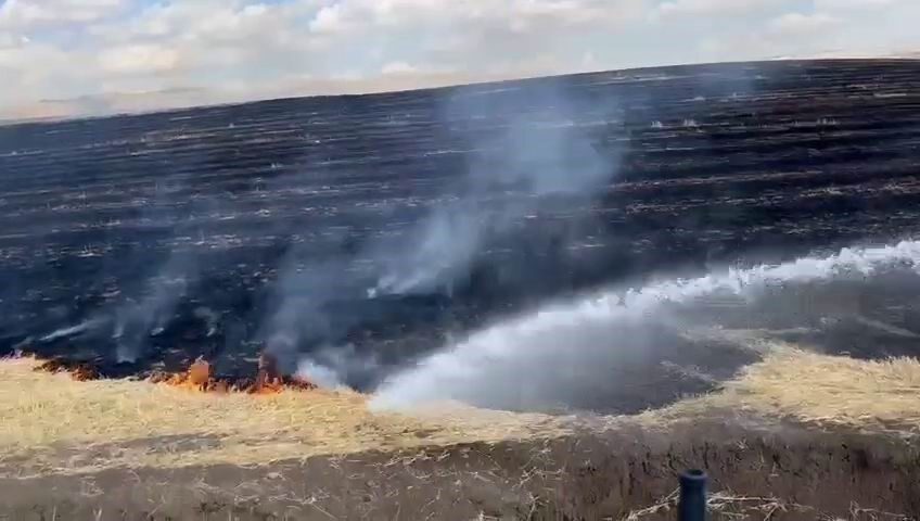 Diyarbakır'ın Silvan ilçesindeki Yolarası Mahallesi'nde anız yangını çıktı. Açık bir