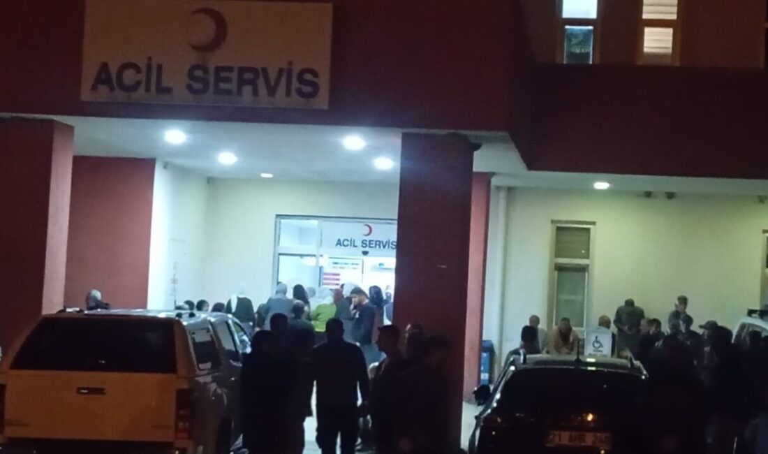 Diyarbakır'ın Çüngüş ilçesinde 6 yaşındaki Yavuz Dündar, tarlada bağlı eşeğin