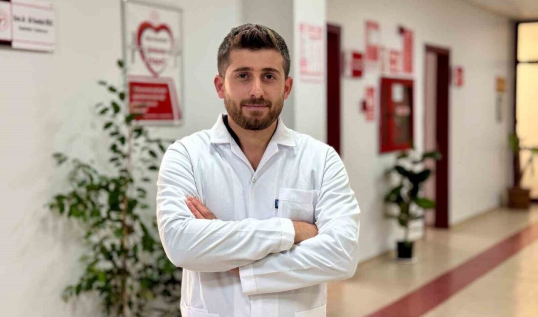 Diyarbakır Gazi Yaşargil Eğitim ve Araştırma Hastanesi'nde görevli Dil ve