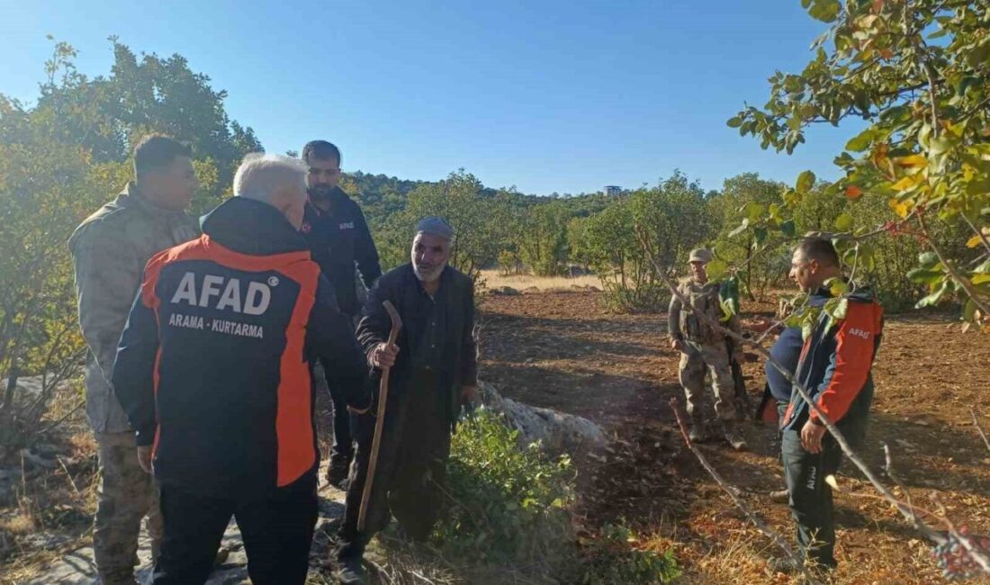 Diyarbakır’da Kayıp Alzheimer Hastası, AFAD Ekipleri Tarafından Çalı Toplarken Bulundu Diyarbakır’ın Dicle ilçesinde kaybolan 80 yaşındaki Alzheimer hastası, AFAD ekipleri