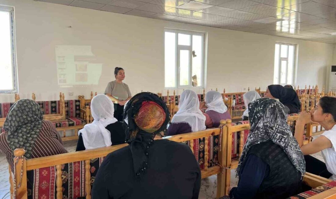 Diyarbakır Büyükşehir Belediyesi, Meme Kanseri Farkındalık Ayı etkinlikleri kapsamında Lice'nin