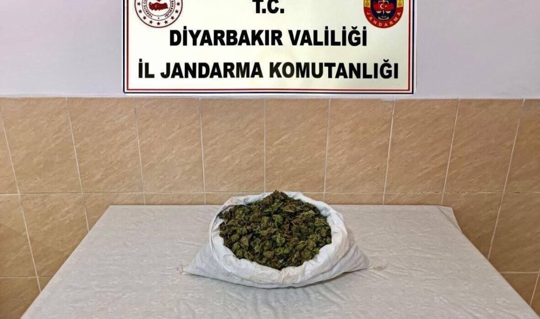 Diyarbakır'da İl Jandarma Komutanlığı'nın düzenlediği operasyonlarda 29 kg esrar, 13