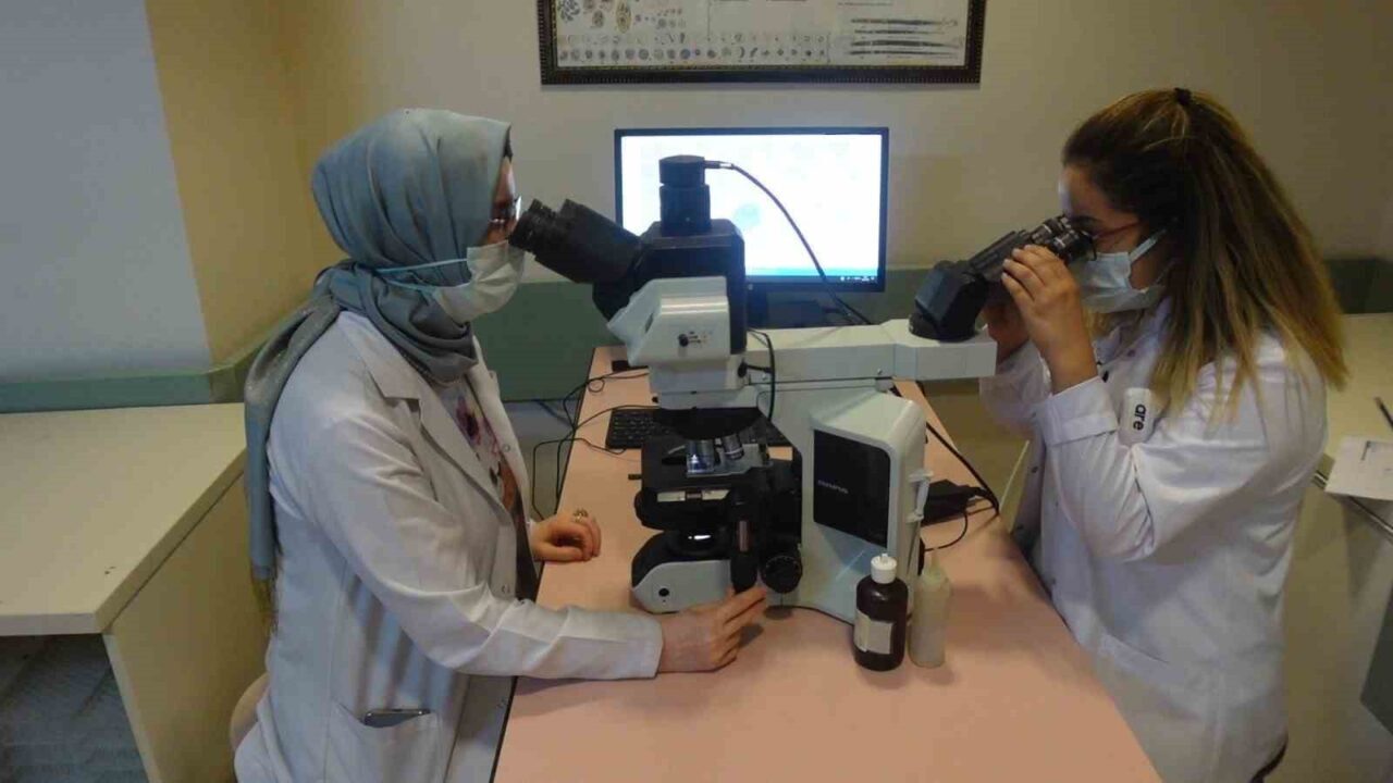 Doç. Dr. Ayşe Sağmak Tartar, Mpox virüsünün artan vakalarla birlikte