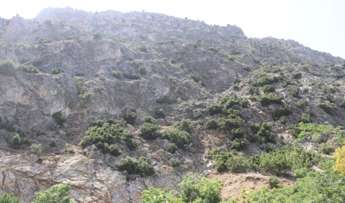 Isparta'nın Eğirdir ilçesinde kaybolan 75 yaşındaki emekli muhasebeci Hurşit Yıldırım'ı