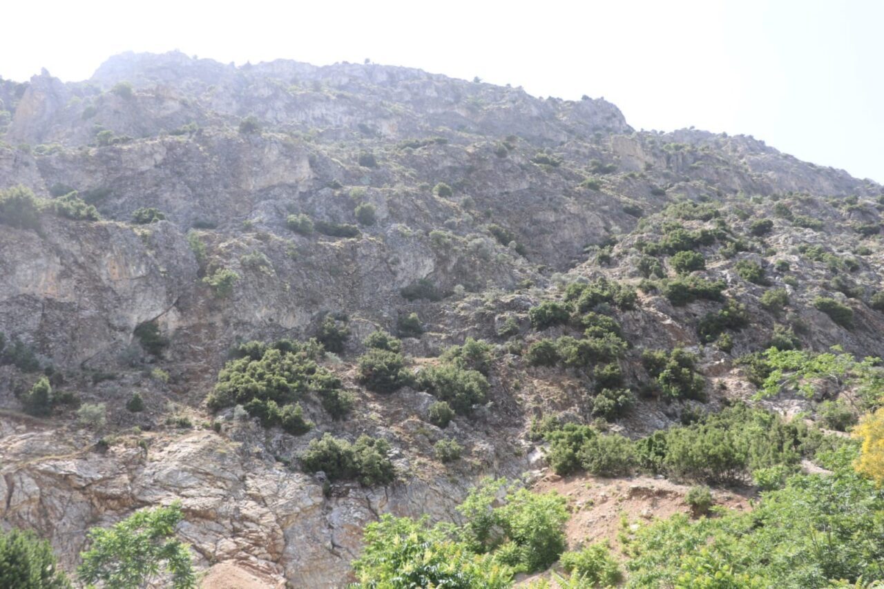 Isparta'nın Eğirdir ilçesinde kaybolan 75 yaşındaki emekli muhasebeci Hurşit Yıldırım'ı