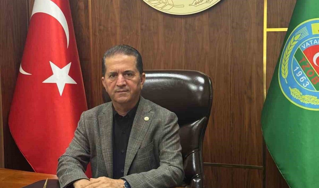 Adana Yüreğir Ziraat Odası Başkanı Mehmet Akın Doğan, 16 Ekim