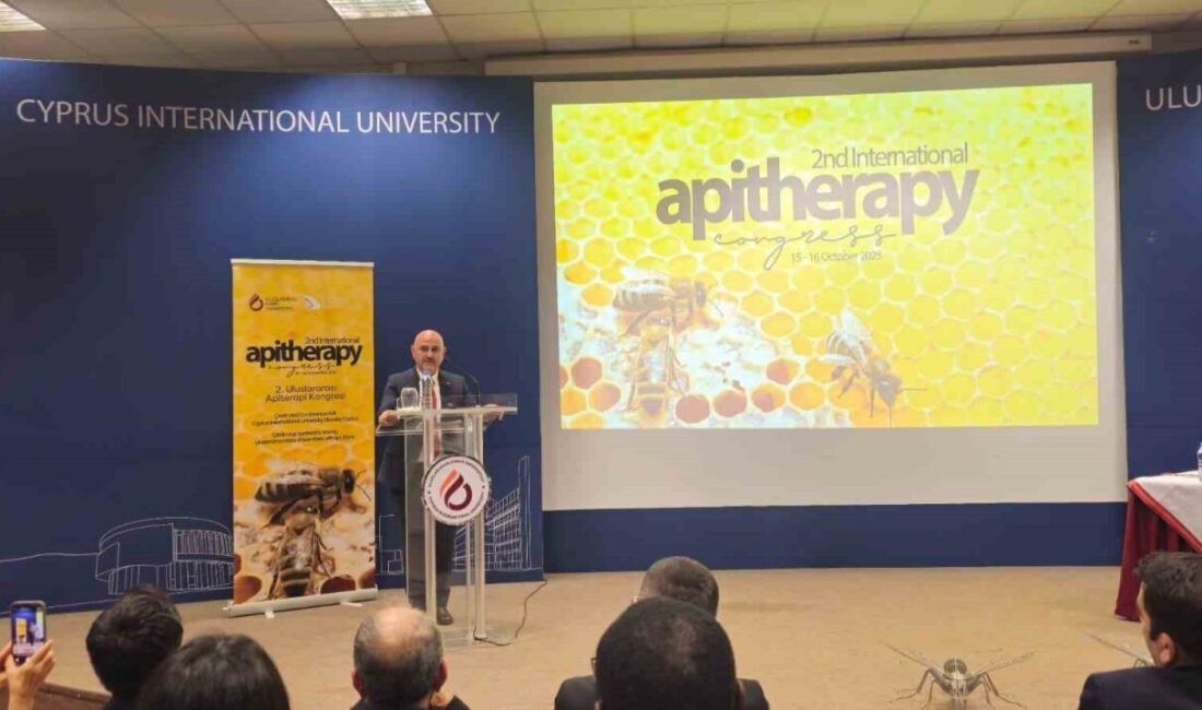 Düzce Üniversitesi ve Uluslararası Kıbrıs Üniversitesi'nin iş birliğiyle düzenlenen 2.