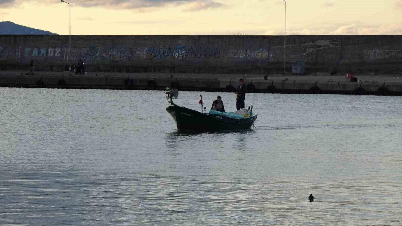 Doğu Karadeniz'deki balıkçılar, geçen yıl bol avlanan palamudun bu sezon