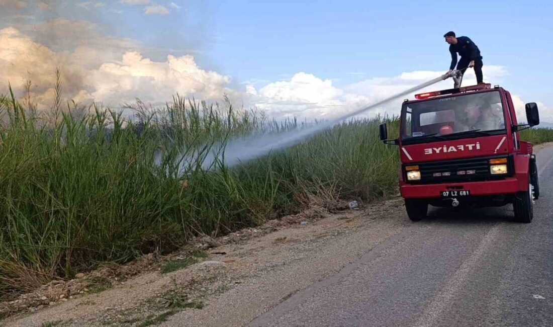 Antalya'nın Manavgat ilçesinde, çöp dökme yasağına rağmen atıkların bırakıldığı alanda