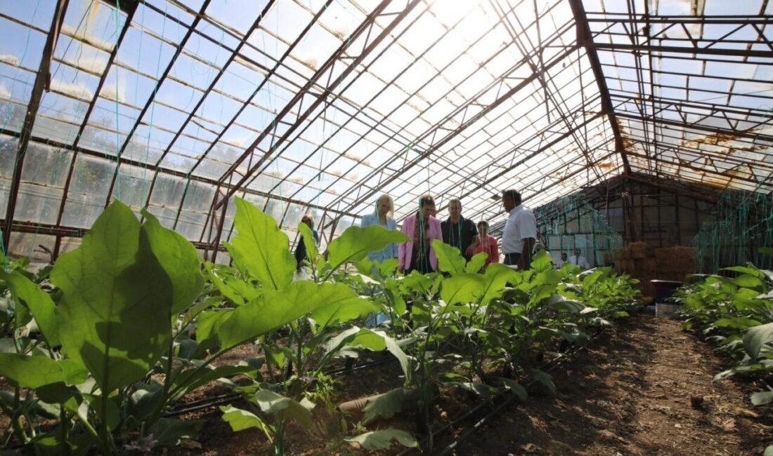 Doyran Mahallesi'nde "Obezite Farkındalık Etkinliği" düzenlendi. Akdeniz Üniversitesi ve Antalya