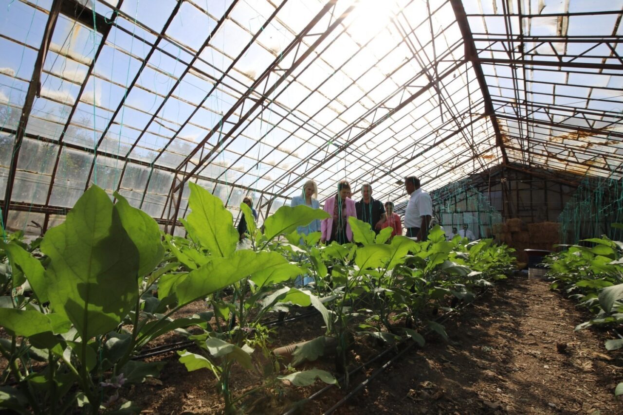 Doyran Mahallesi'nde "Obezite Farkındalık Etkinliği" düzenlendi. Akdeniz Üniversitesi ve Antalya
