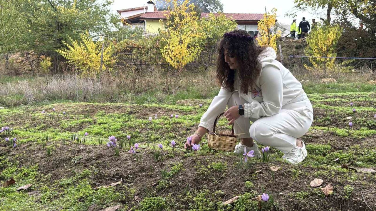 Karabük'ün Safranbolu ilçesinde, UNESCO Dünya Mirası olan bölgede düzenlenen 9.