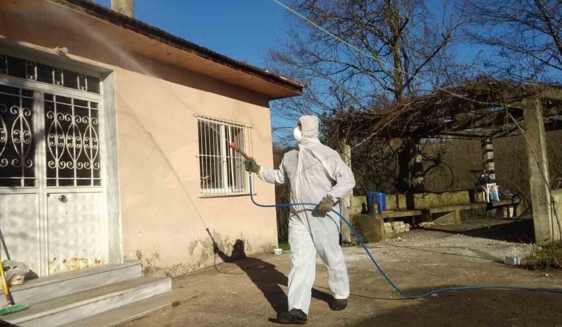 Düzce’de Fındık Üretimini Tehdit Eden Kahverengi Kokarca ile Mücadele Sürüyor Düzce'de, fındık zararlısı Kahverengi Kokarca ile mücadele kapsamındaki kışlak çalışmalarına