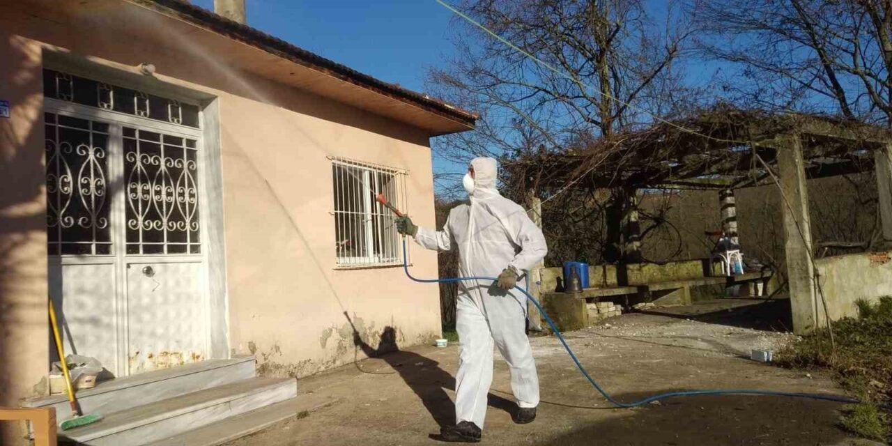 Düzce'de, fındık zararlısı Kahverengi Kokarca ile mücadele kapsamındaki kışlak çalışmalarına