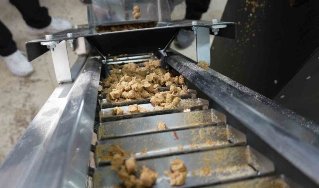 Düzce Belediyesi ve Düzce İl Özel İdaresi iş birliğiyle kurulan