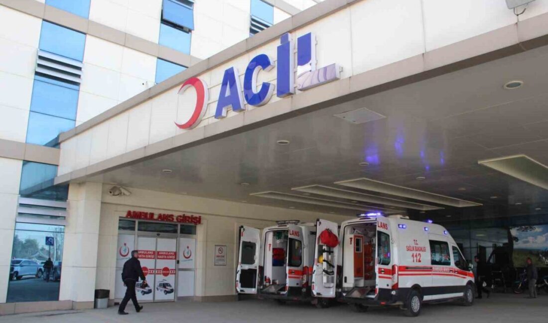 AK Parti Düzce İl Başkanı Hasan Şengüloğlu, Düzce'ye Sağlık Bakanlığı