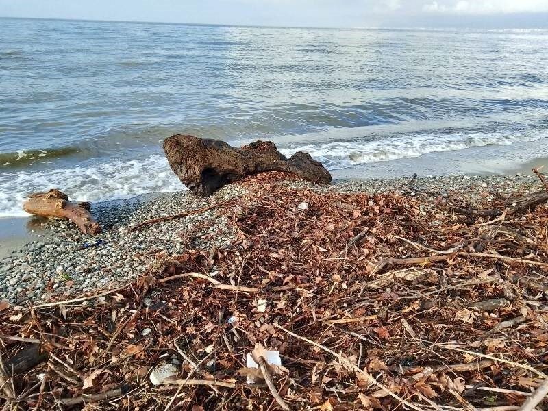 Edremit Körfezi'nde lodos fırtınası, kıyıda bulunan teknelere zarar verirken, sahili