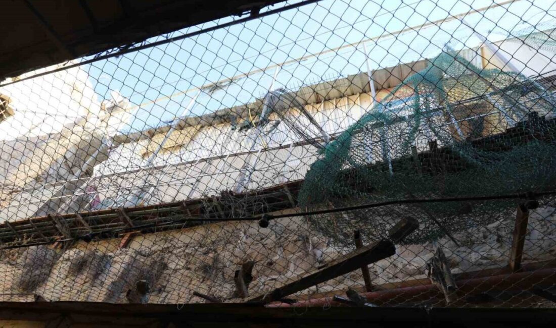 El Halil'de Filistinliler, İsrail yerleşimcilerinin tacizlerine maruz kalıyor. Hişam Merka,