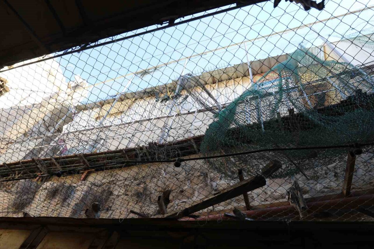 El Halil'de Filistinliler, İsrail yerleşimcilerinin tacizlerine maruz kalıyor. Hişam Merka,