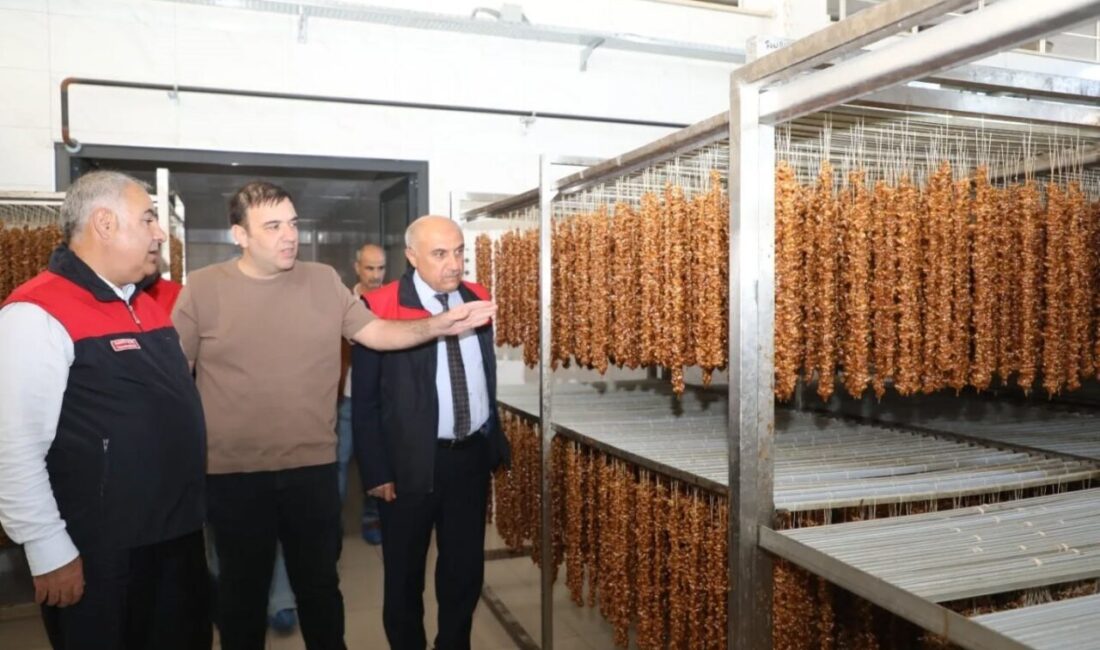 Elazığ İl Tarım ve Orman Müdürlüğü, Kırsal Kalkınma Yatırımlarının Desteklenmesi