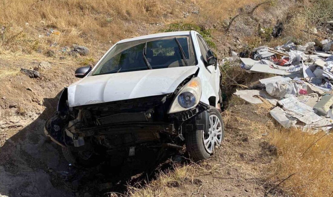 Elazığ'da sürücüsünün kontrolü kaybetmesi sonucu bir otomobil şarampole uçtu. Güney