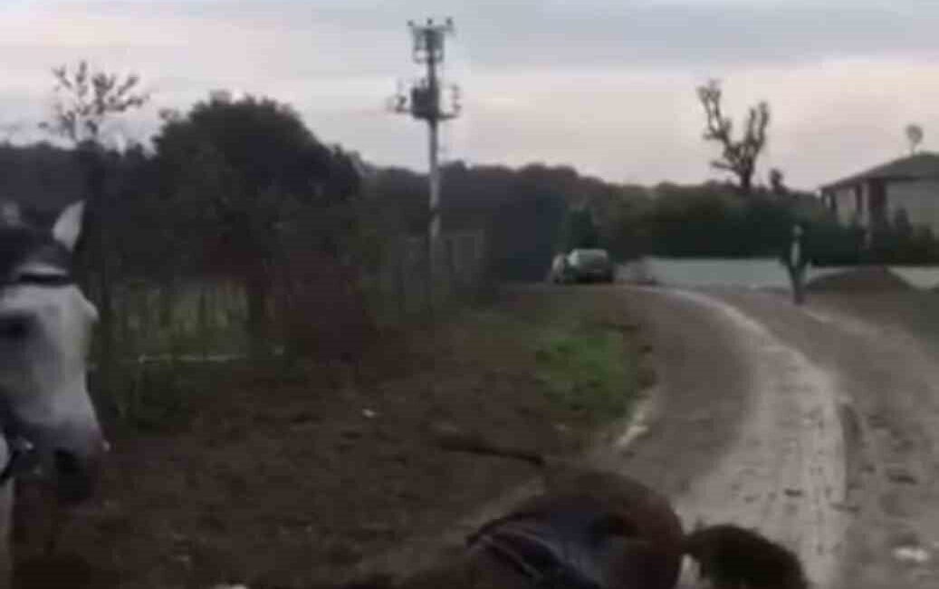 Kocaeli'nin Gebze ilçesinde kaçak elektrik hattından kaynaklandığı öne sürülen bir