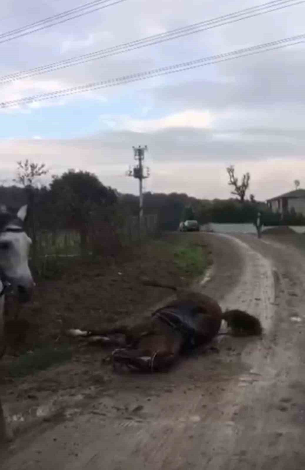 Kocaeli'nin Gebze ilçesinde kaçak elektrik hattından kaynaklandığı öne sürülen bir