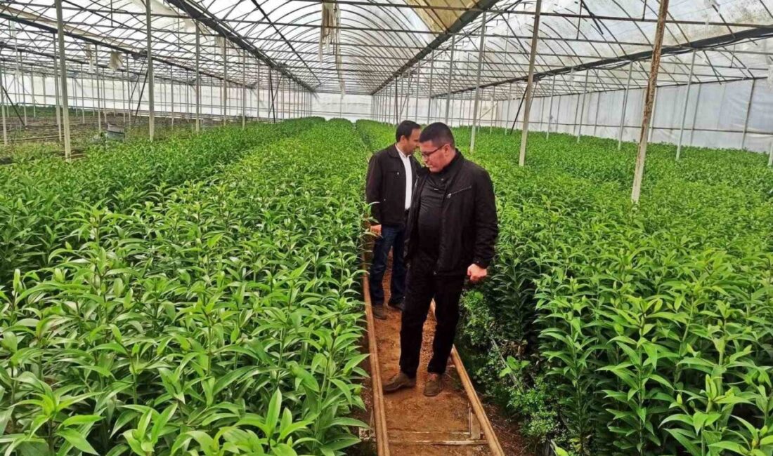 Emet’te Seracılık Faaliyetleri İçin Teknik Gezi Düzenlendi Emet İlçe Tarım ve Orman Müdürlüğü, seracılık yapmak isteyen çiftçiler