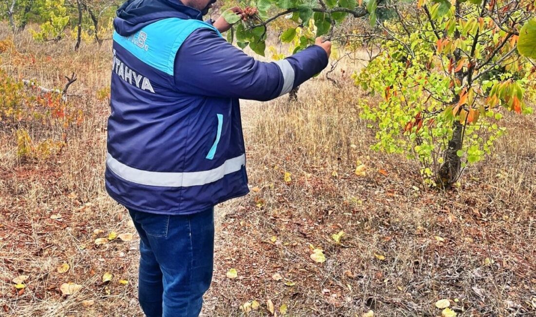 Kütahya Emet İlçe Tarım ve Orman Müdürlüğü, uydu ile izlenen