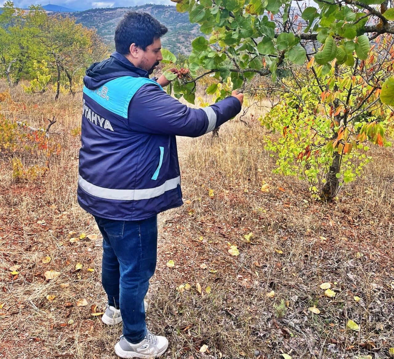 Kütahya Emet İlçe Tarım ve Orman Müdürlüğü, uydu ile izlenen