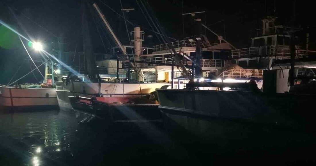 Edirne'nin Enez Balıkçı Barınağı'nda, Tarım ve Orman Müdürlüğü ekipleri trol
