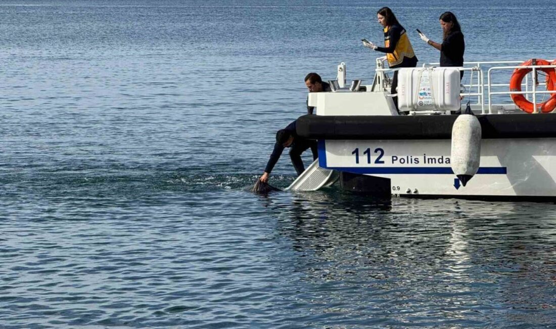 Balıkesir'in Erdek ilçesinde denizde bulunan erkek cesedinin 81 yaşındaki Mehmet