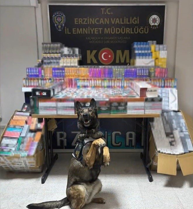 Erzincan'da KOM ekipleri, dedektör köpeği Hera'nın yardımıyla iki otobüste toplam