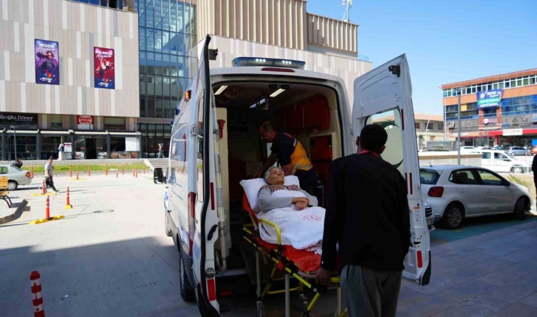 Erzincan'da 3 yıldır sürdürülen uygulama ile hastaneden taburcu olanlar, ihtiyaç