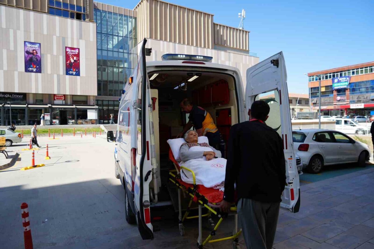 Erzincan'da 3 yıldır sürdürülen uygulama ile hastaneden taburcu olanlar, ihtiyaç