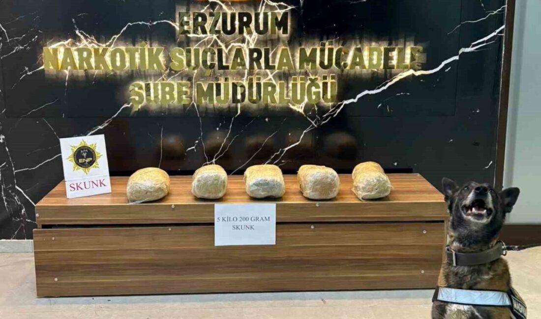 Erzurum'da düzenlenen operasyonda, İl Emniyet Müdürlüğü Narkotik Suçlarla Mücadele Şube