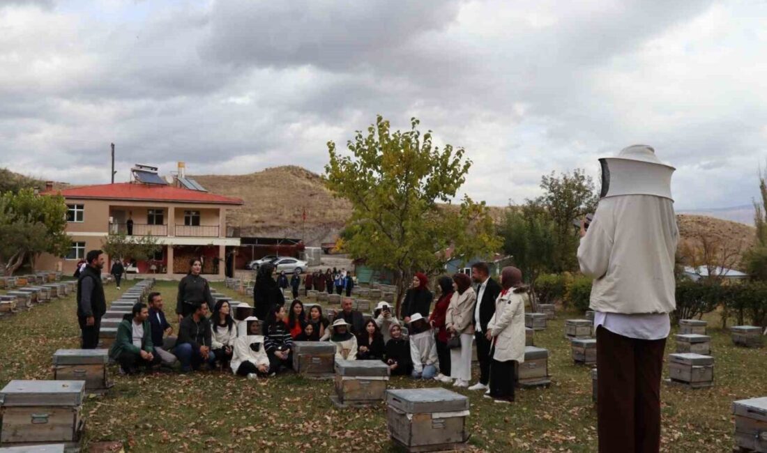 Narman’da Gençler Arıcılık Sertifikalarını Törenle Aldı Erzurum'un Narman ilçesinde gençler, organik arıcılık kursunu başarıyla tamamlayarak sertifika